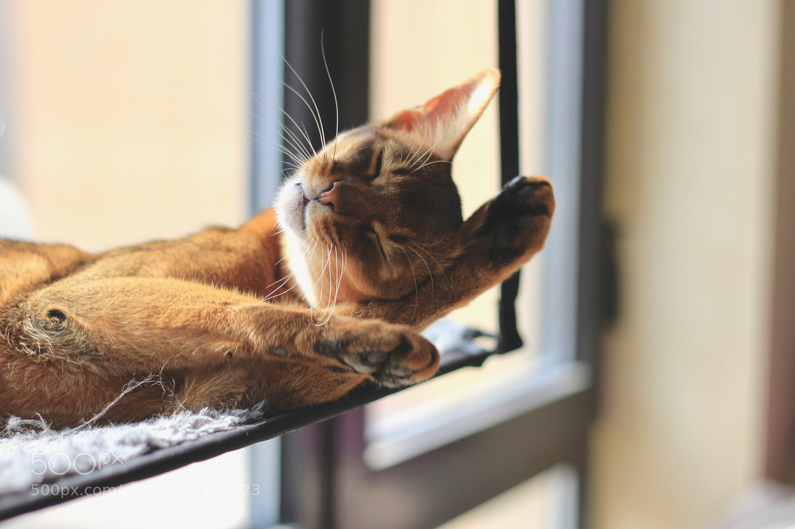 Canon EOS 7D sample photo. Streching photography