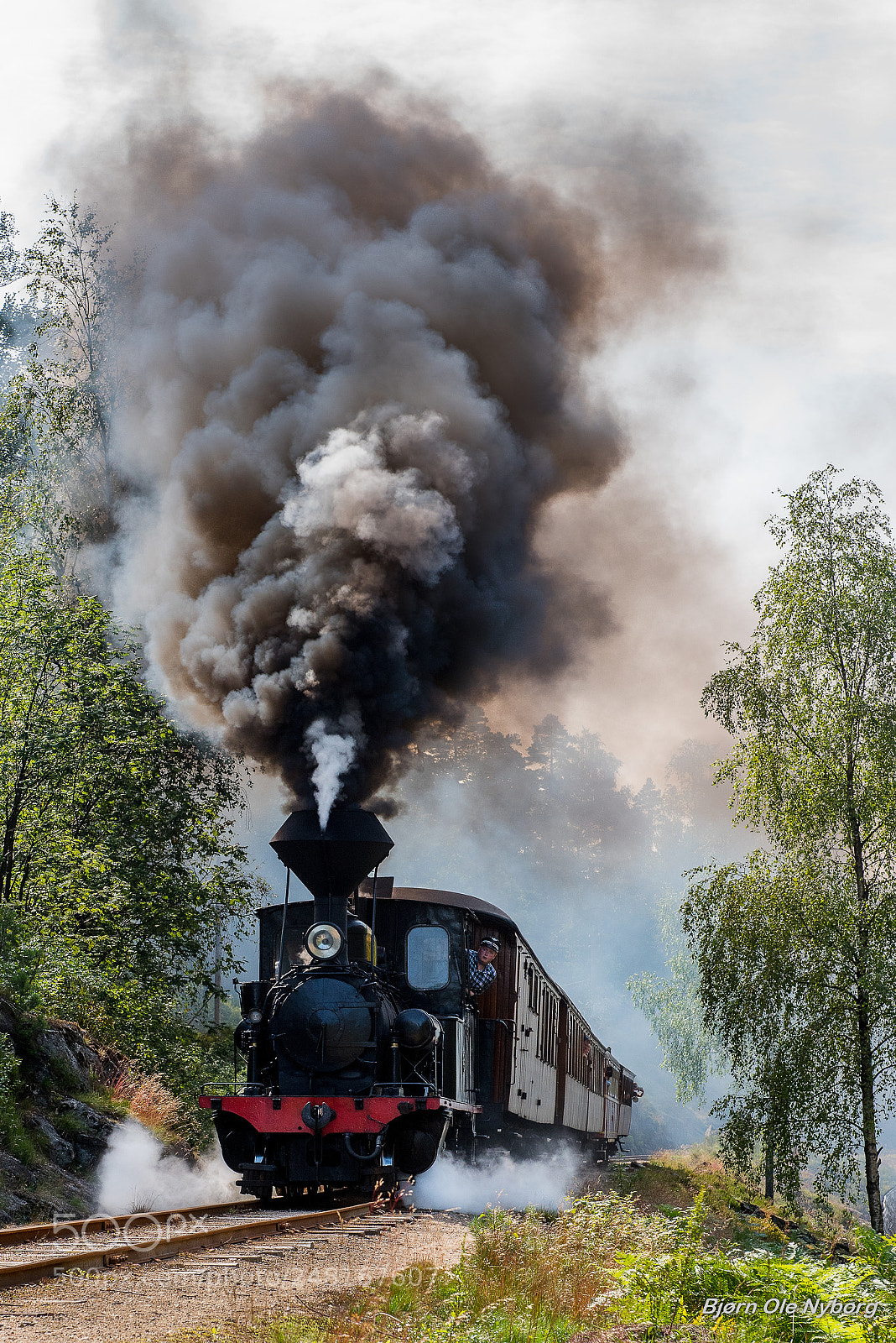Nikon D810 sample photo. Full throttle photography