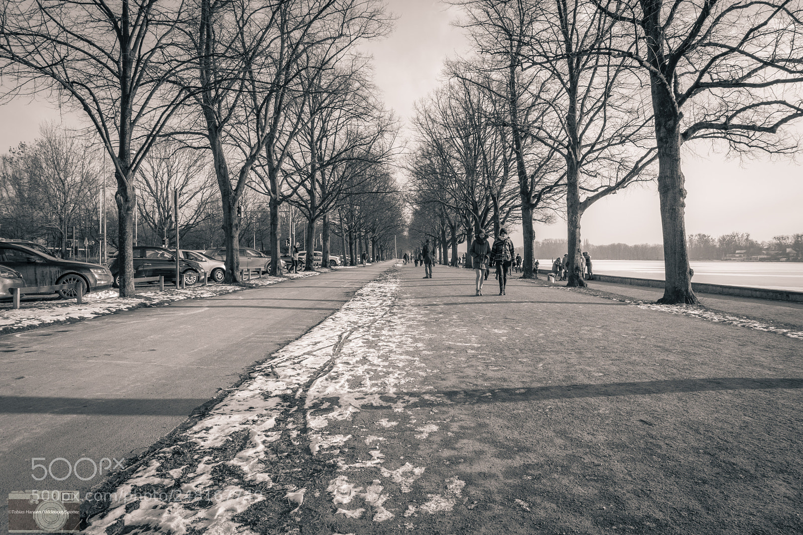 Fujifilm X-T20 sample photo. Sundaywalk b/w photography