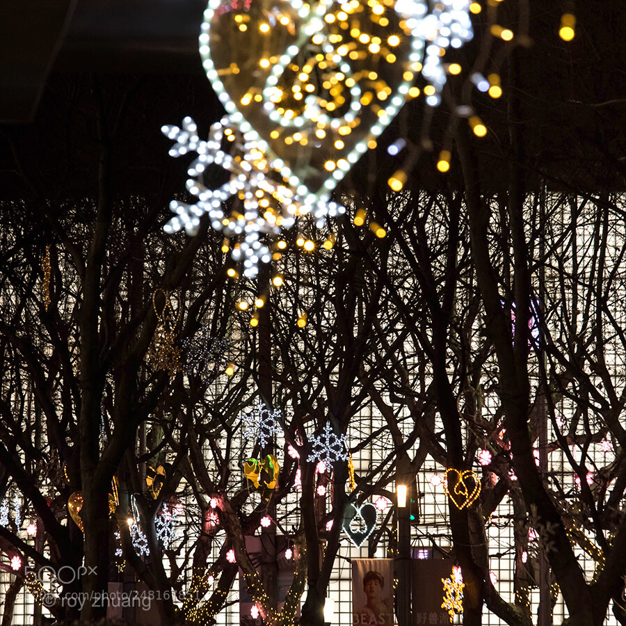 Canon EOS-1D X sample photo. Untitled photography
