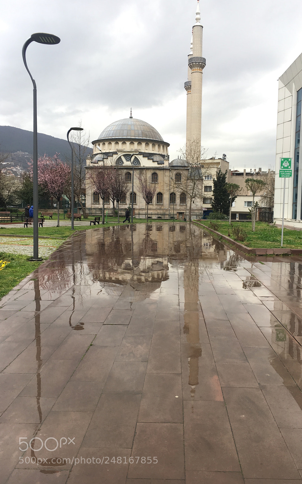 Apple iPhone 6s sample photo. Reflection photography