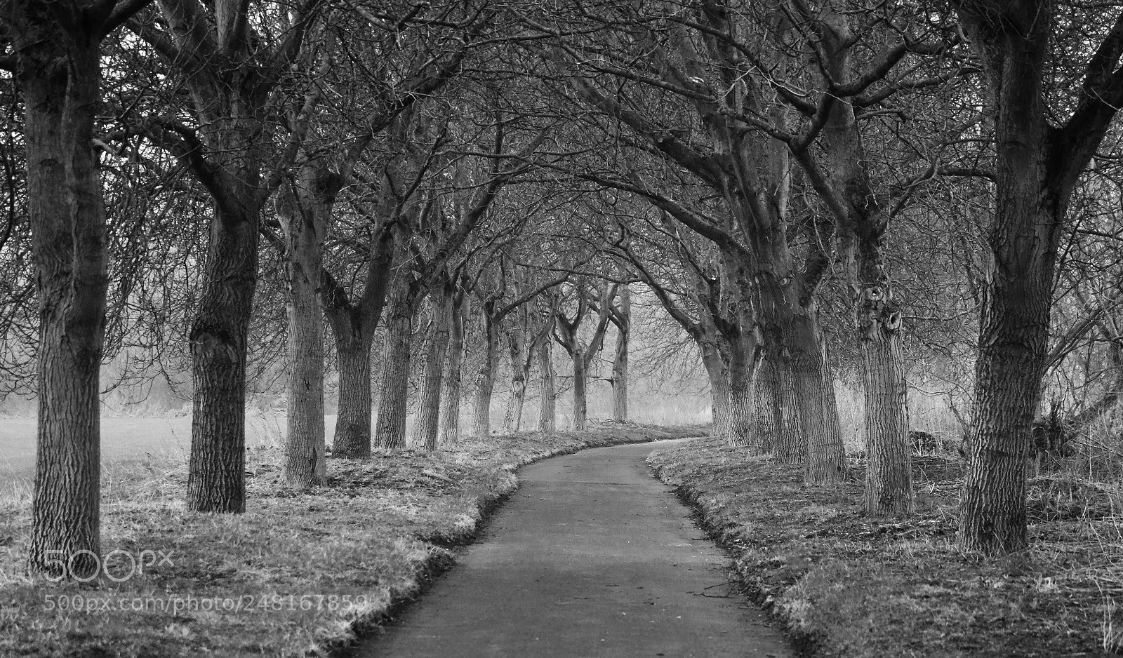 Canon EOS 60D sample photo. It´s still winter... photography