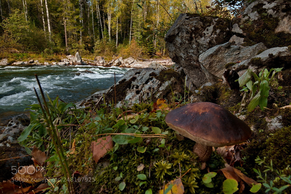 Fujifilm X-T1 sample photo. Russia. siberia, west sayan photography