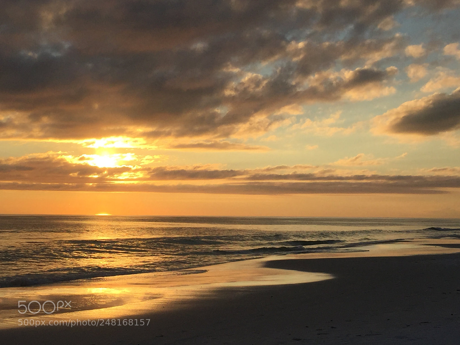 Apple iPhone 6 sample photo. Seagrovebeach1 photography