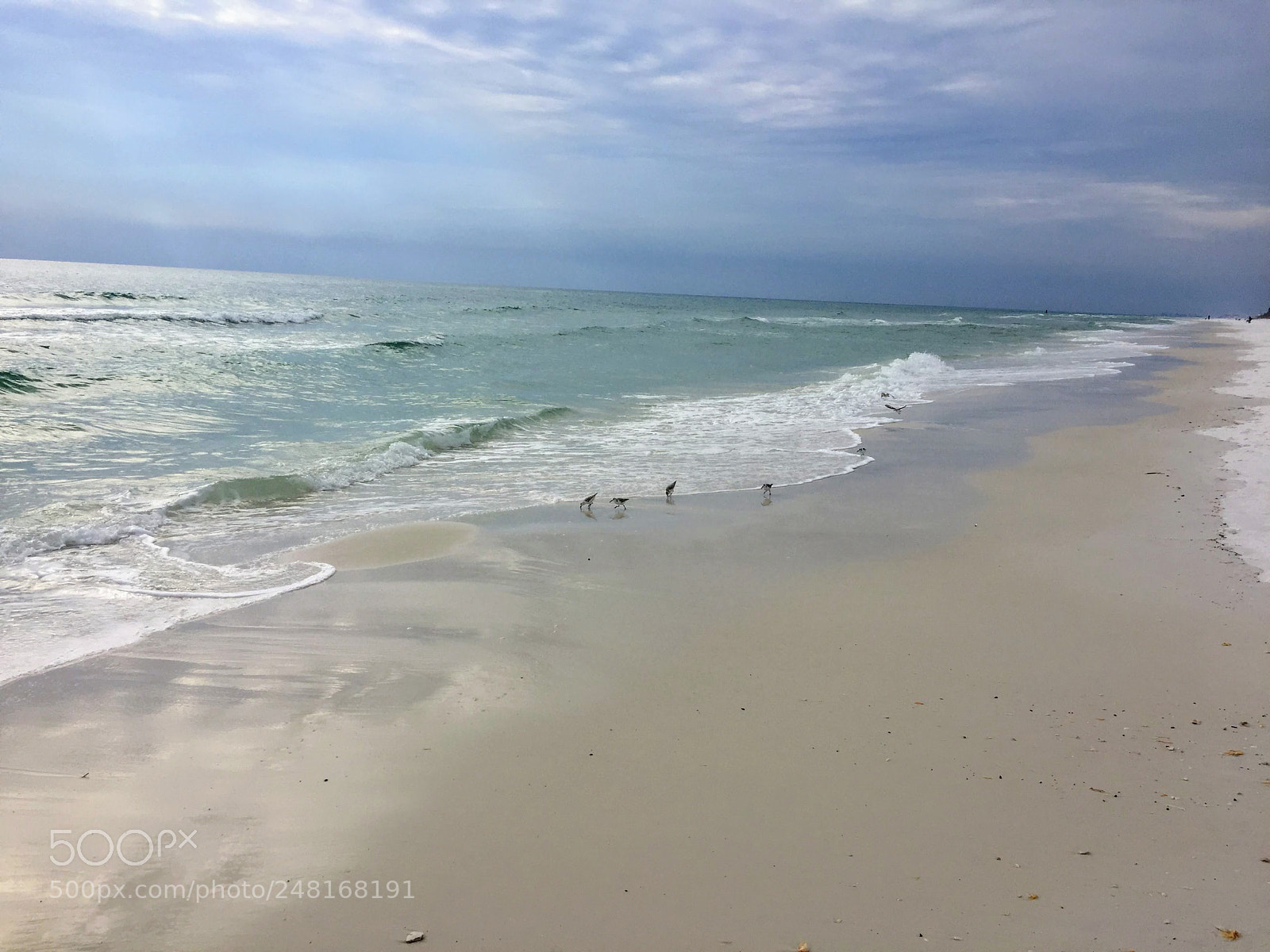 Apple iPhone 6 sample photo. Seagrovebeach15 photography