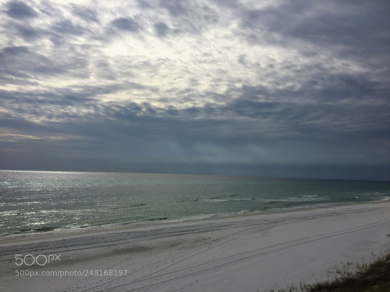Apple iPhone 6 sample photo. Seagrovebeach18 photography