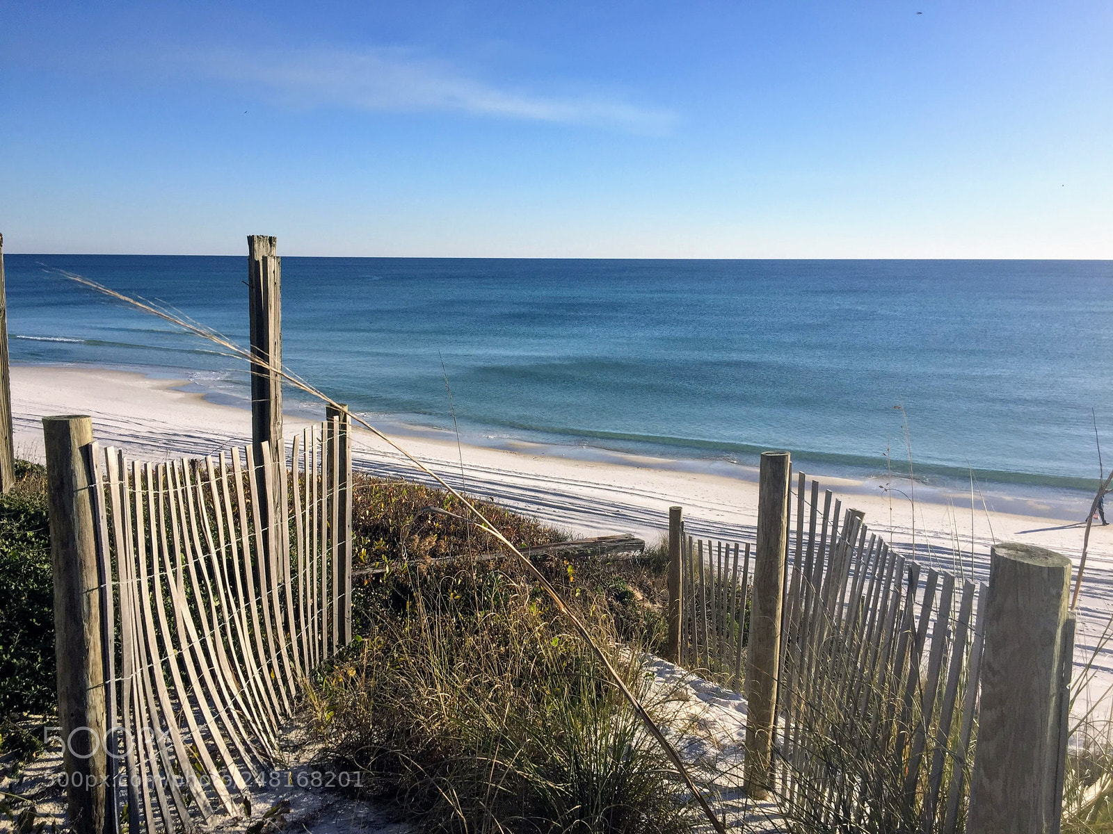 Apple iPhone 6 sample photo. Rosemarybeach5 photography