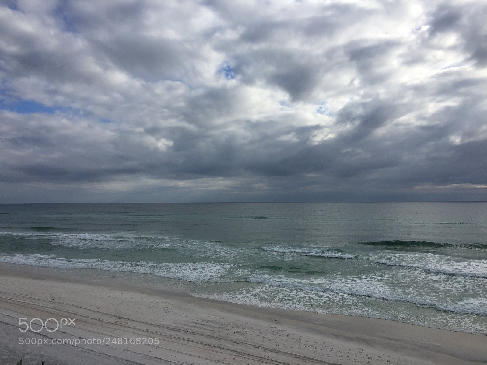 Apple iPhone 6 sample photo. Seagrovebeach20 photography