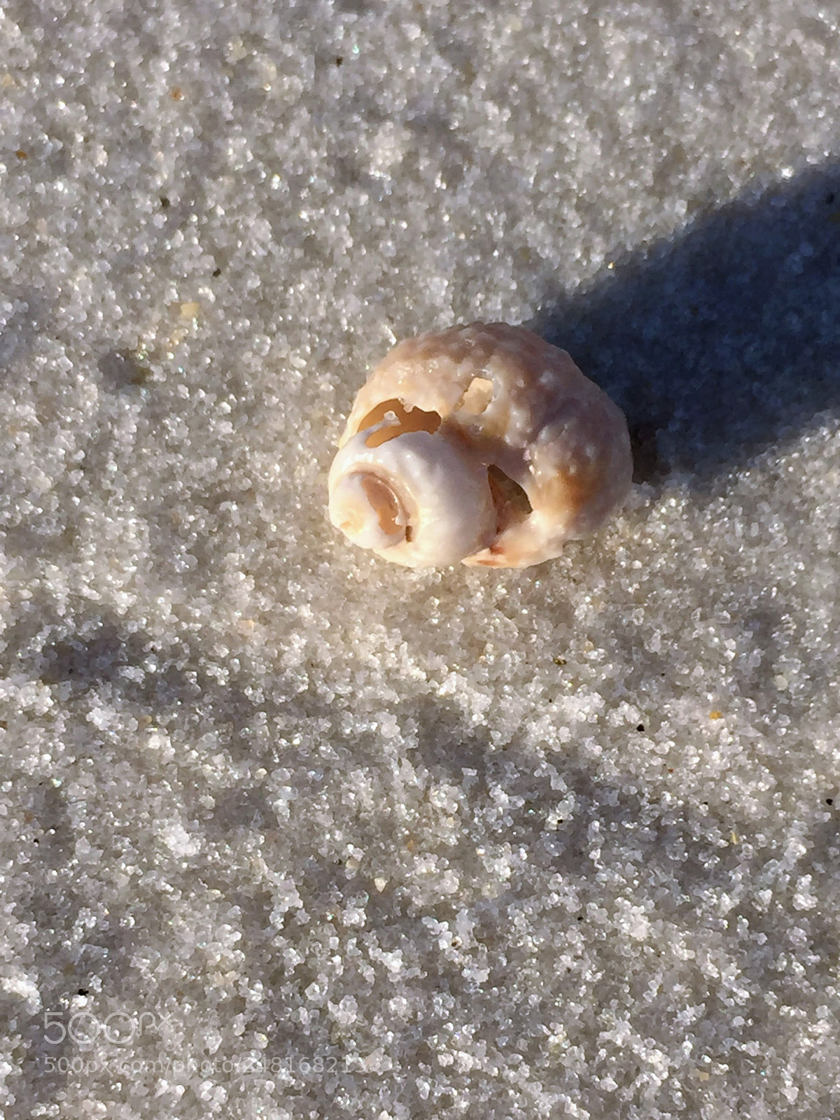Apple iPhone 6 sample photo. Seashellrosemarybeach photography
