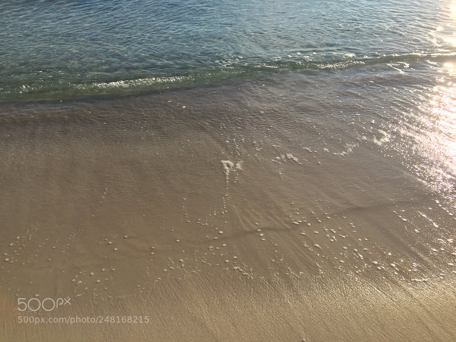 Apple iPhone 6 sample photo. Rosemarybeach10 photography