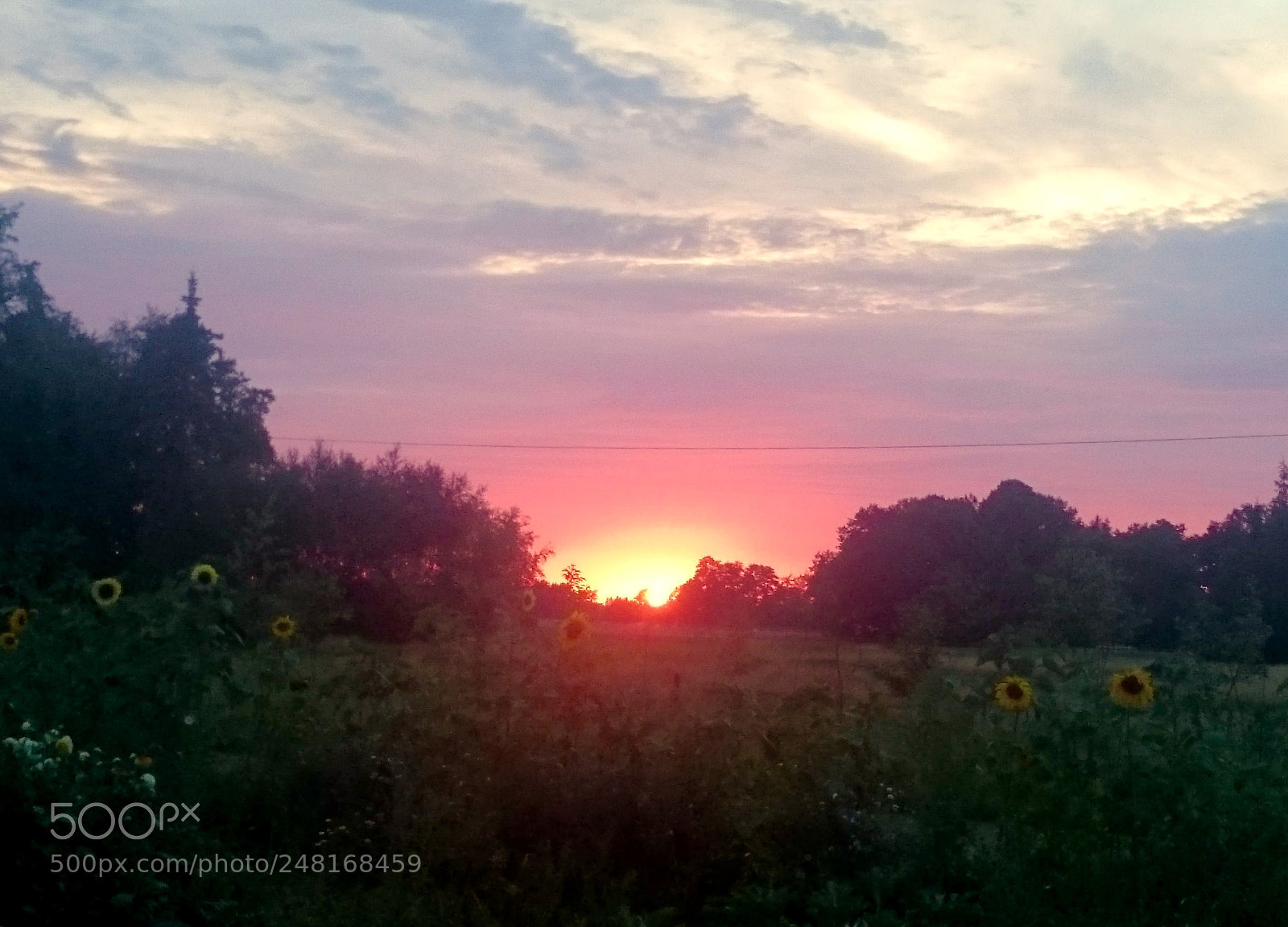 Sony Xperia Z2 sample photo. Sonnenuntergang auf dem land photography
