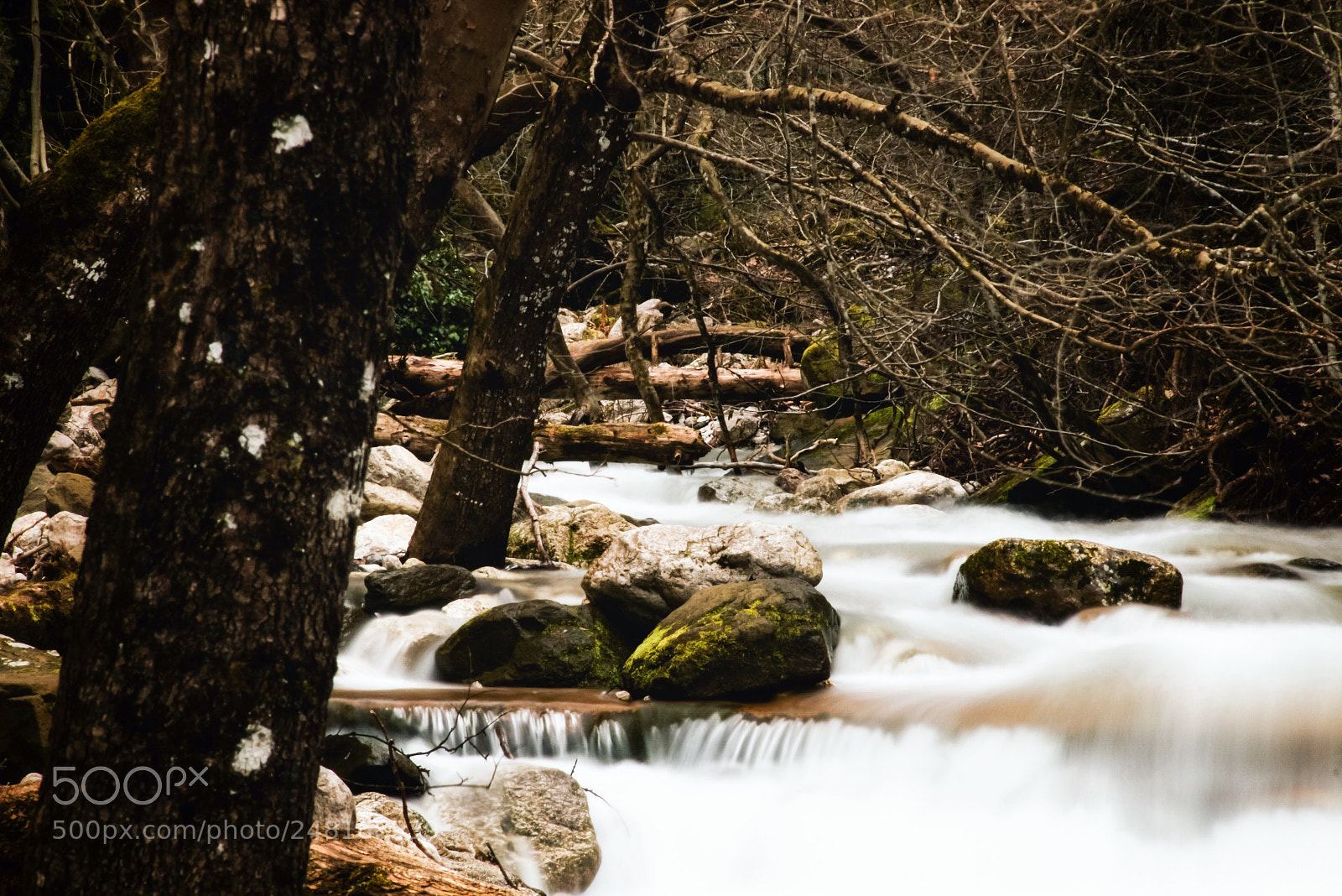 Canon EOS 700D (EOS Rebel T5i / EOS Kiss X7i) sample photo. River line photography