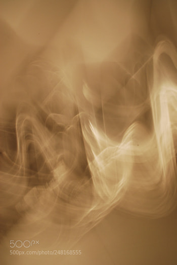 Nikon D60 sample photo. Td photography