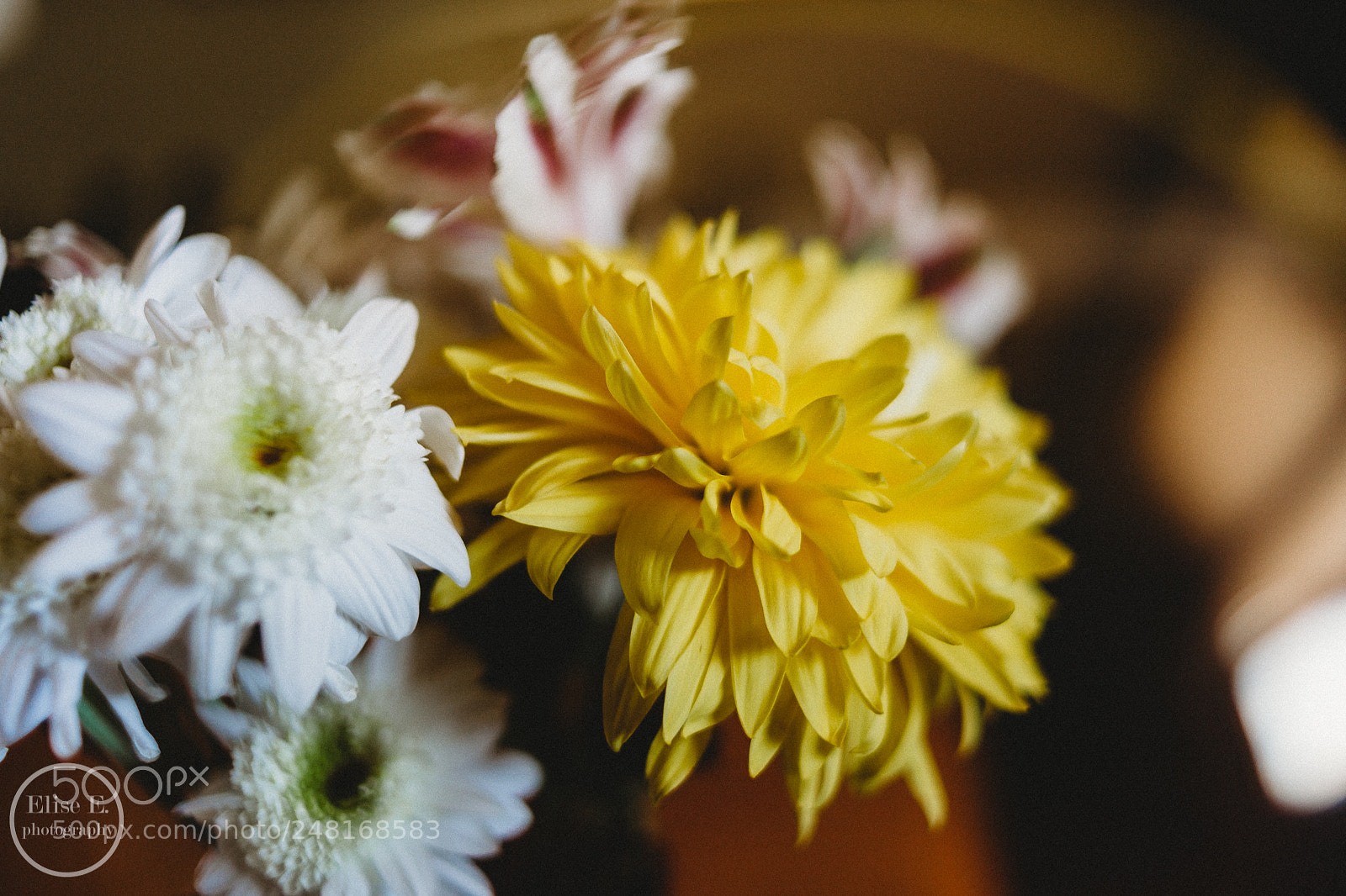 Canon EOS 6D Mark II sample photo. Untitled photography