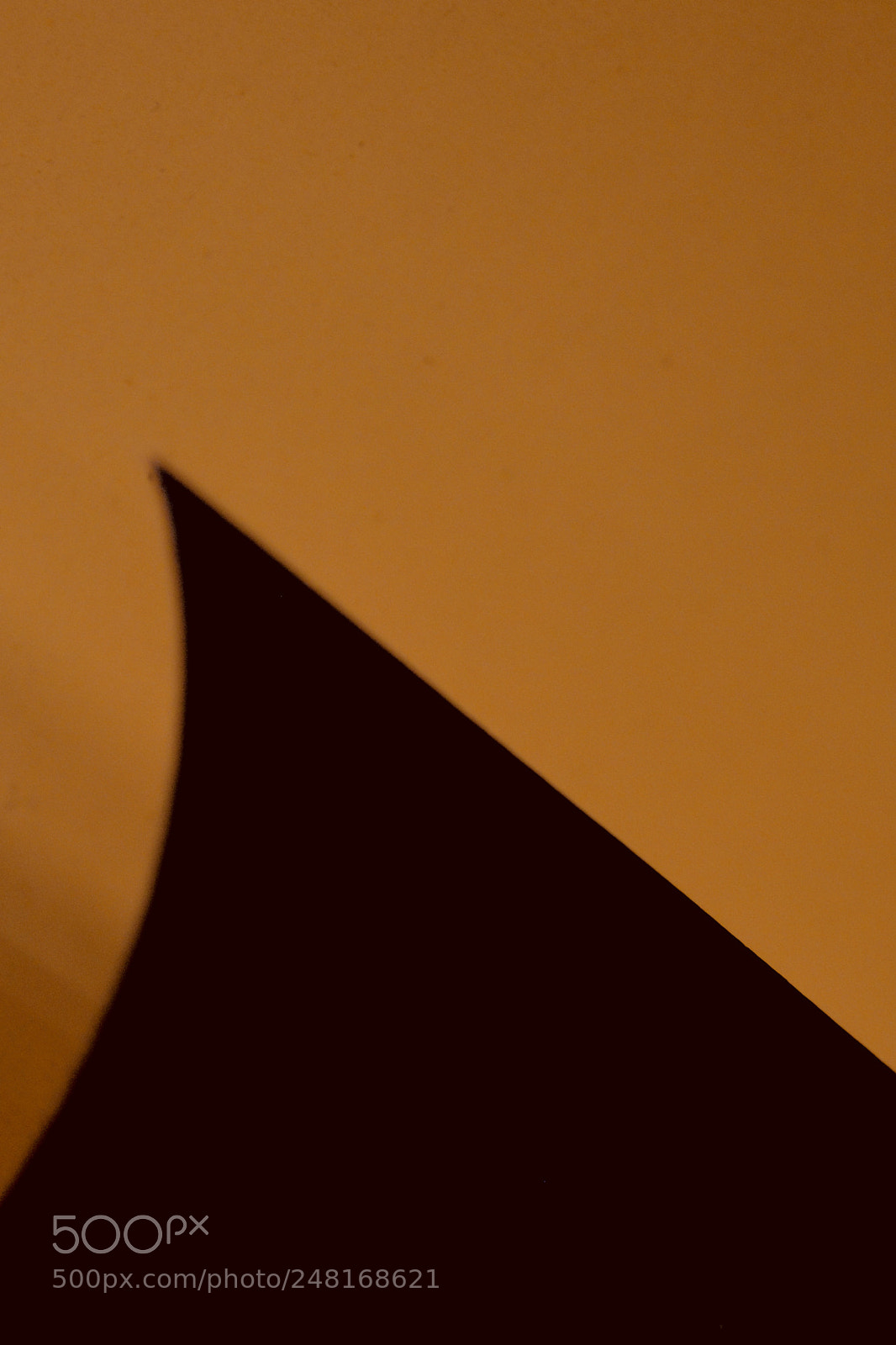 Nikon D5200 sample photo. Raw photography
