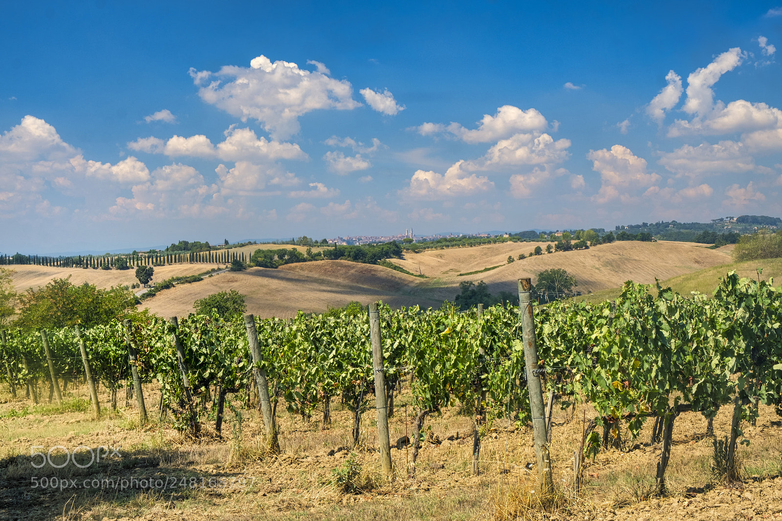 Fujifilm X-T2 sample photo. Summer landscape in the photography