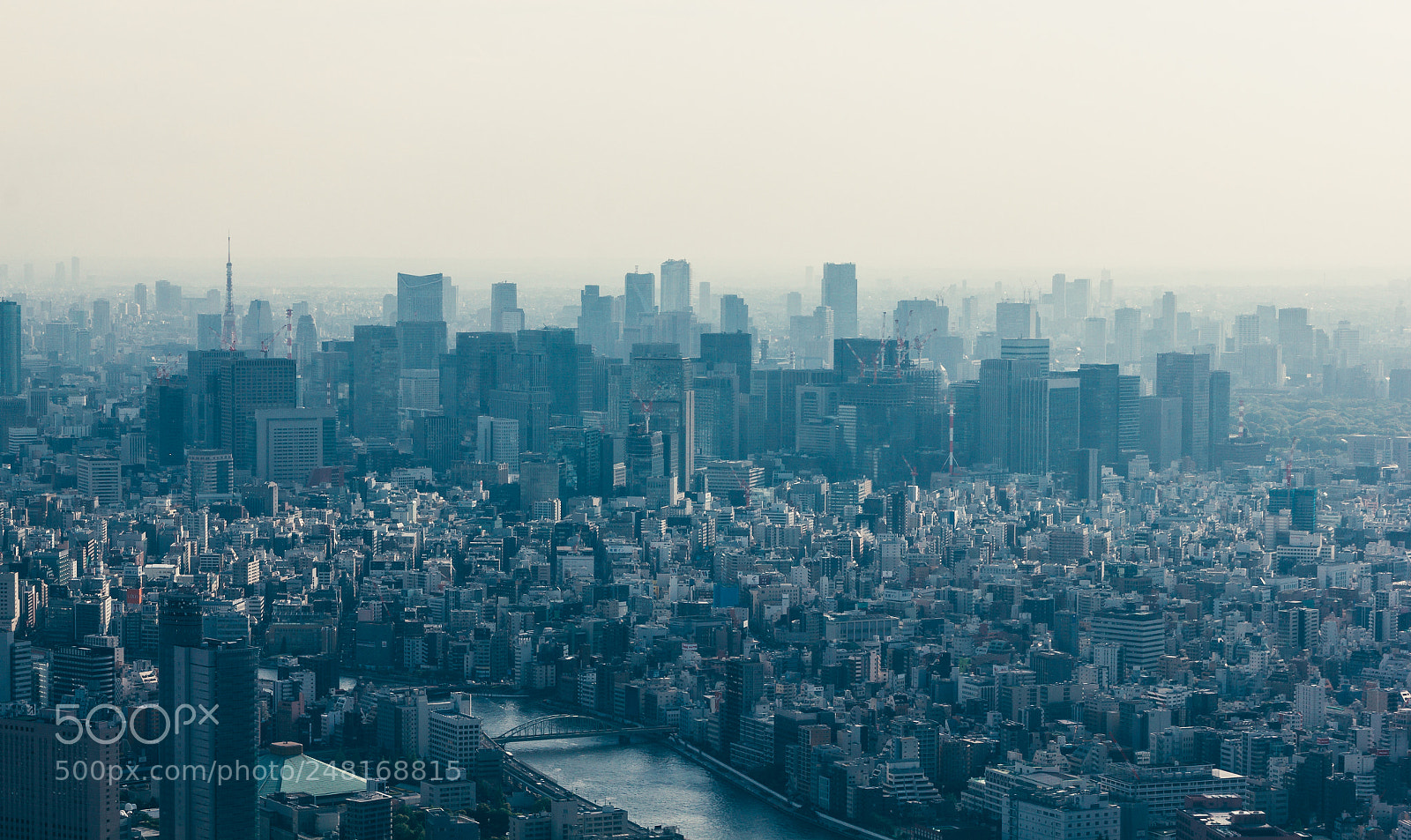 Canon EOS 550D (EOS Rebel T2i / EOS Kiss X4) sample photo. Tokyo #1 photography
