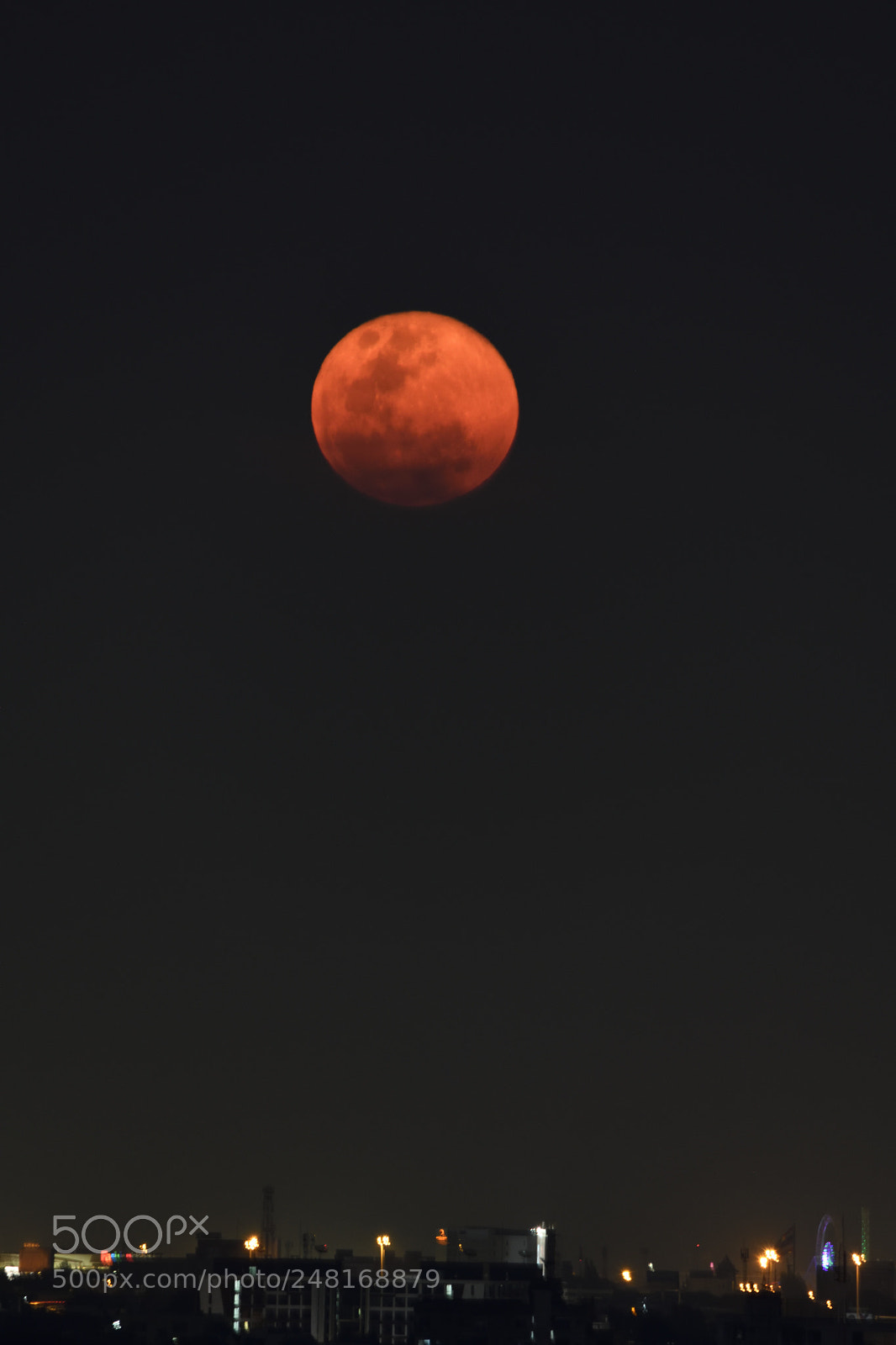 Nikon D850 sample photo. The moon in the photography