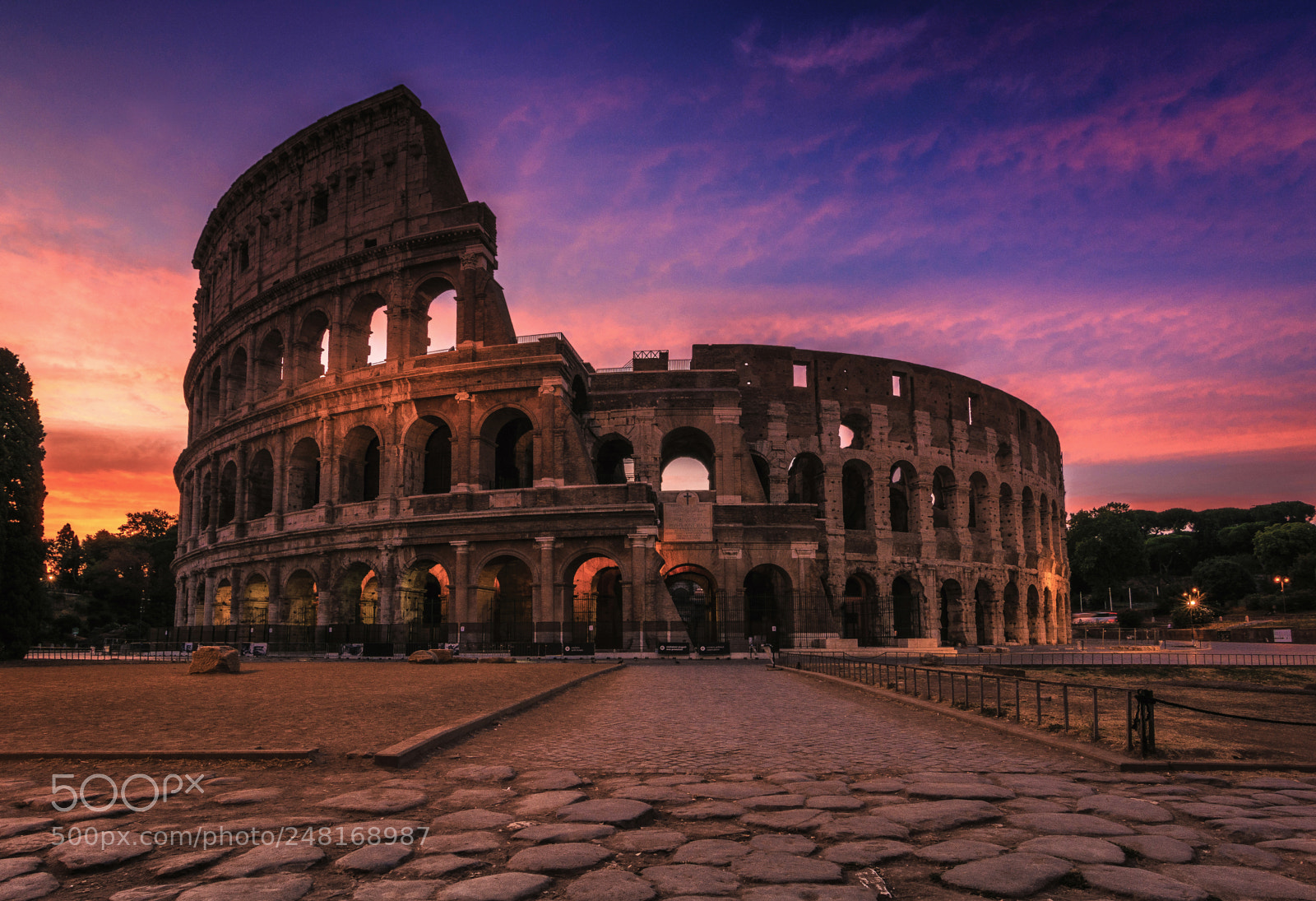 Nikon D7100 sample photo. Gladiator photography