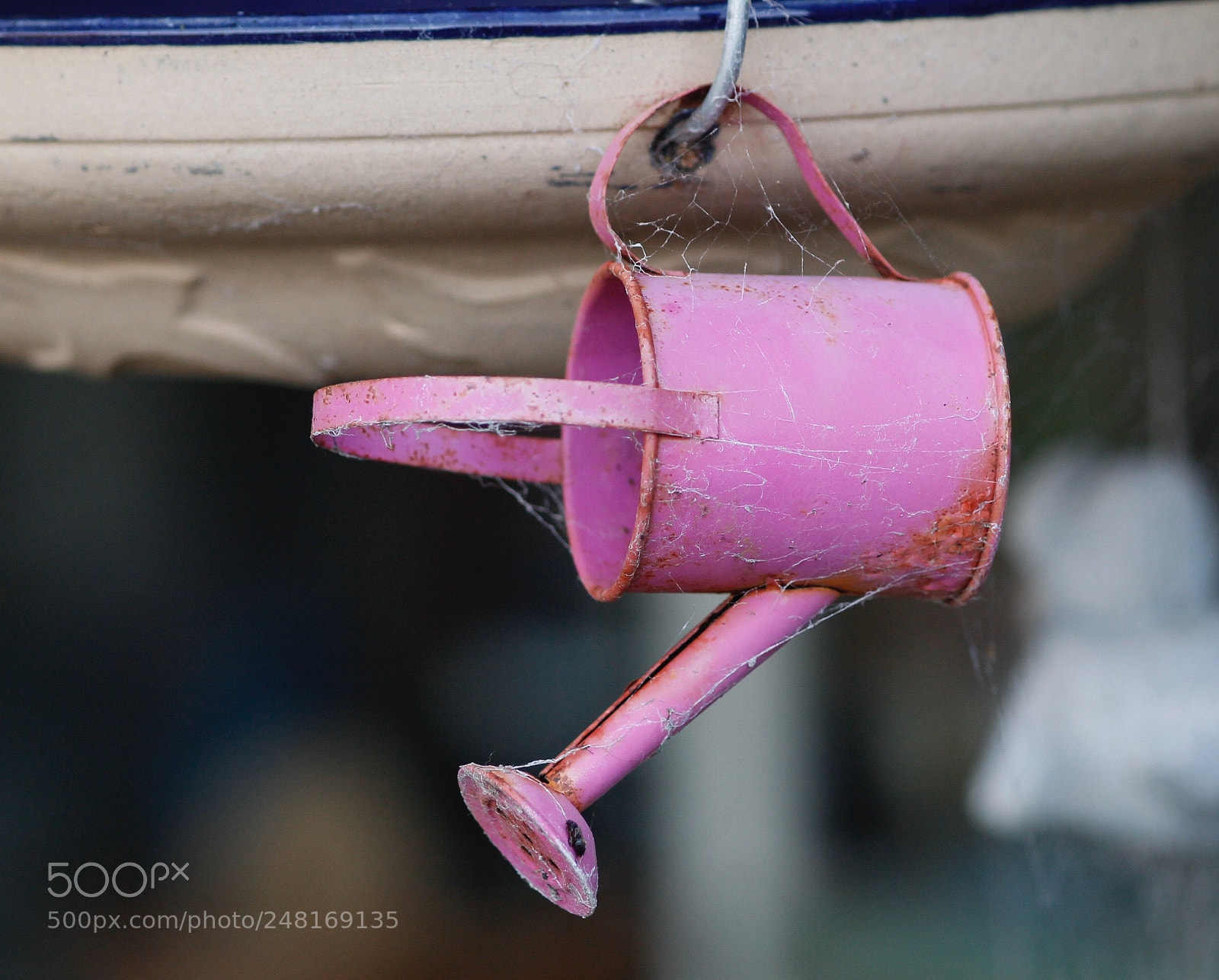 Canon EOS 1100D (EOS Rebel T3 / EOS Kiss X50) sample photo. Old watering can photography