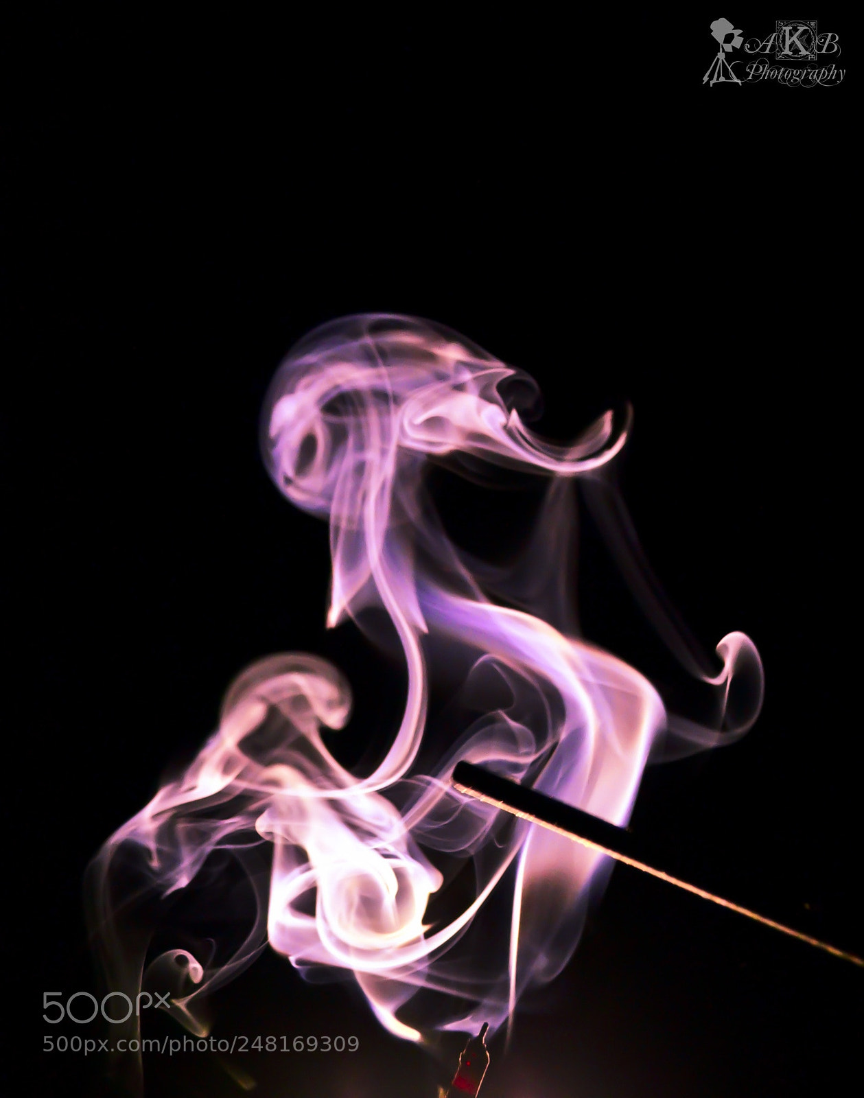 Nikon D5100 sample photo. Smoky seahorse. photography