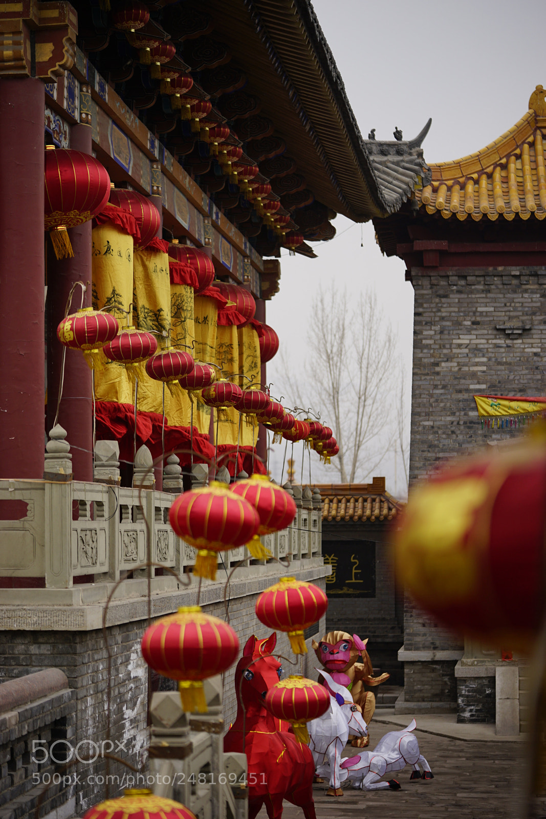 Sony a7 II sample photo. 热闹的园子 photography