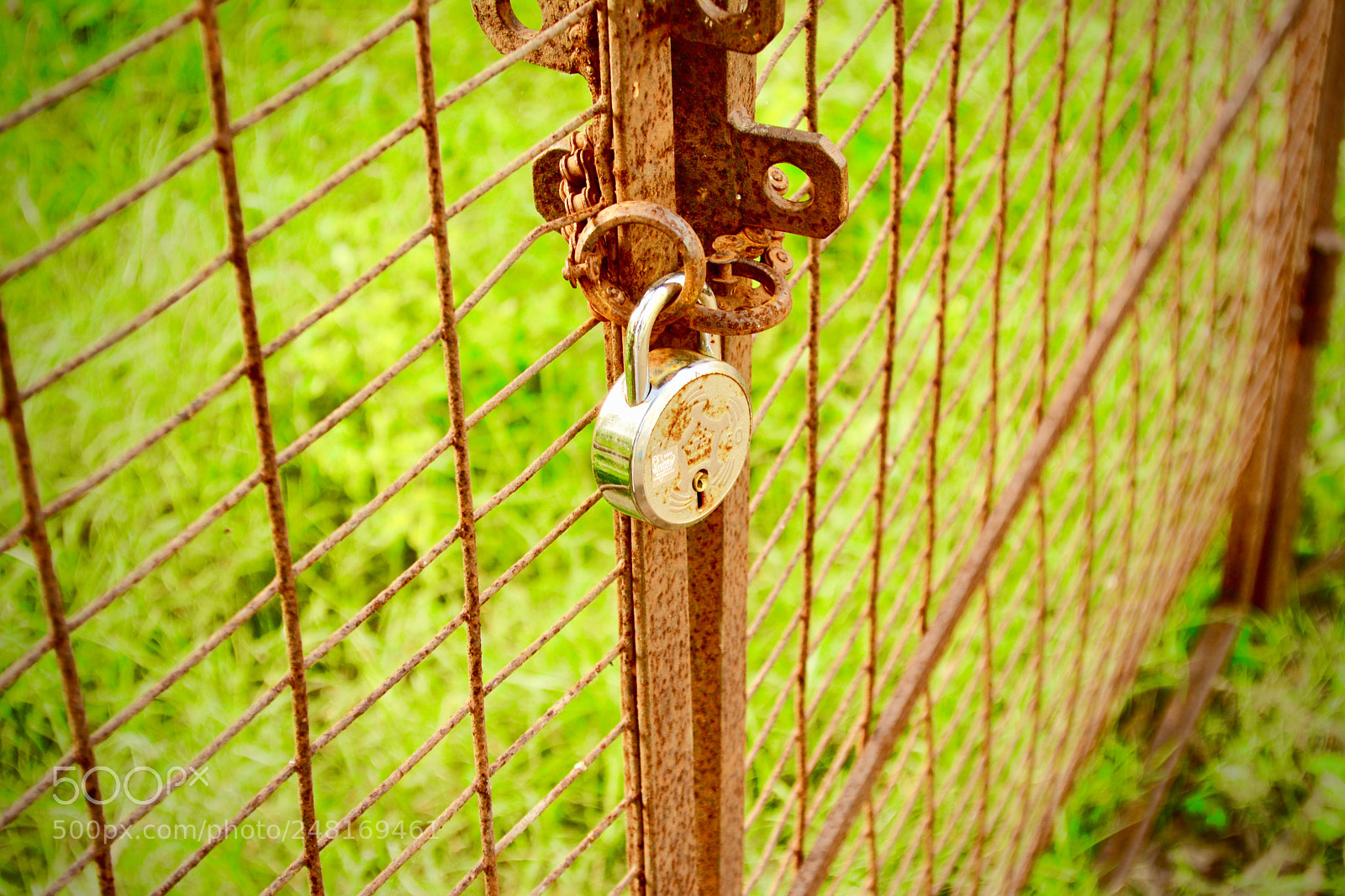 Nikon D5200 sample photo. Faming locked photography