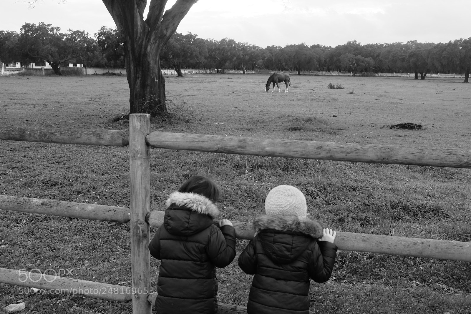 Fujifilm X100S sample photo. ... photography