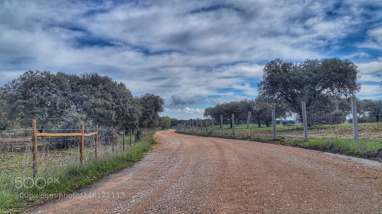 Samsung Galaxy Alpha sample photo. Untitled photography