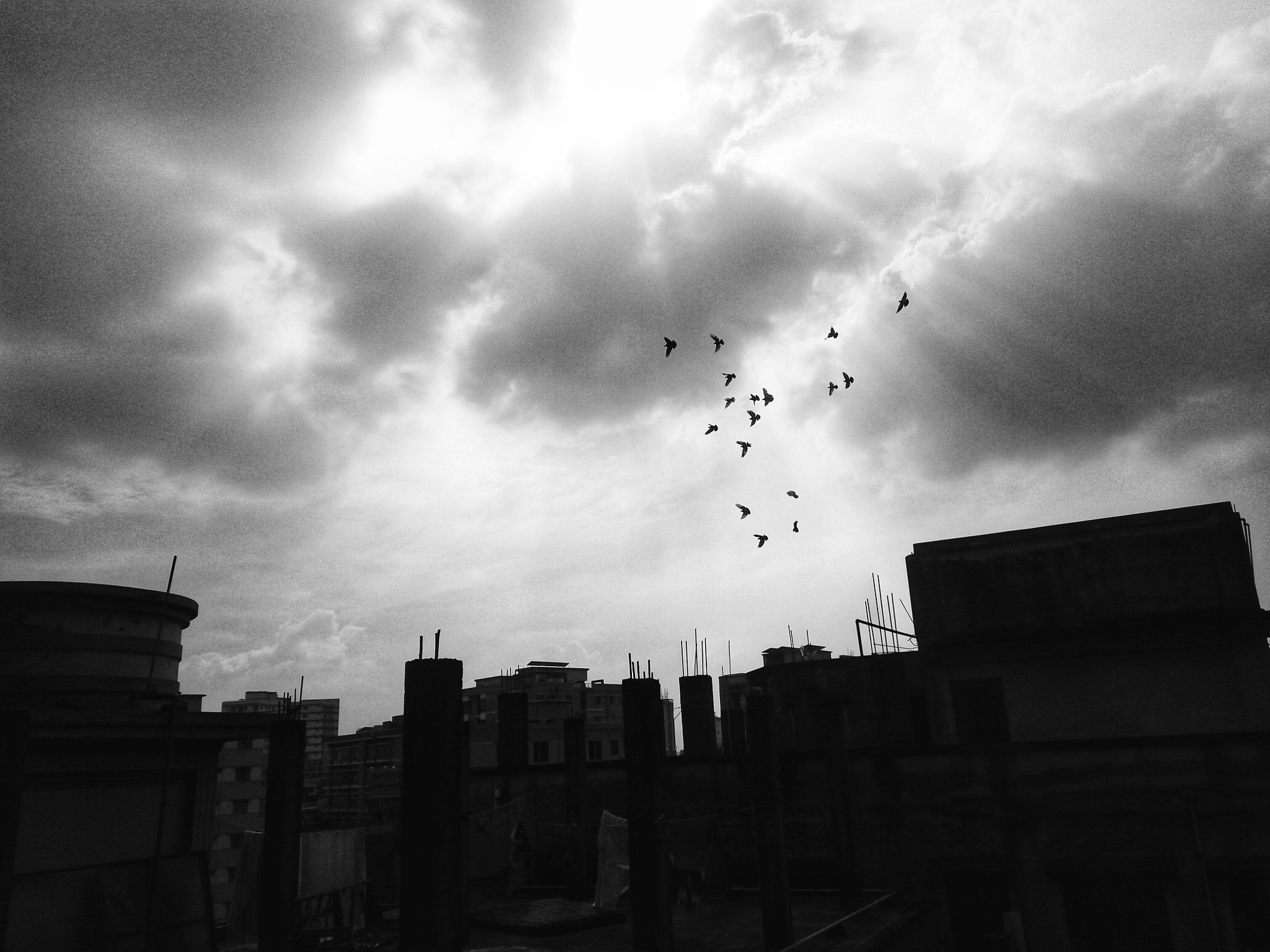 Xiaomi Redmi Note 3 sample photo. ������������������������������� photography