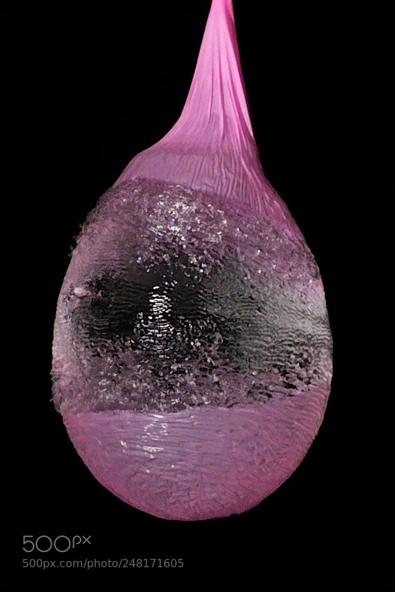Nikon D90 sample photo. Macro photography