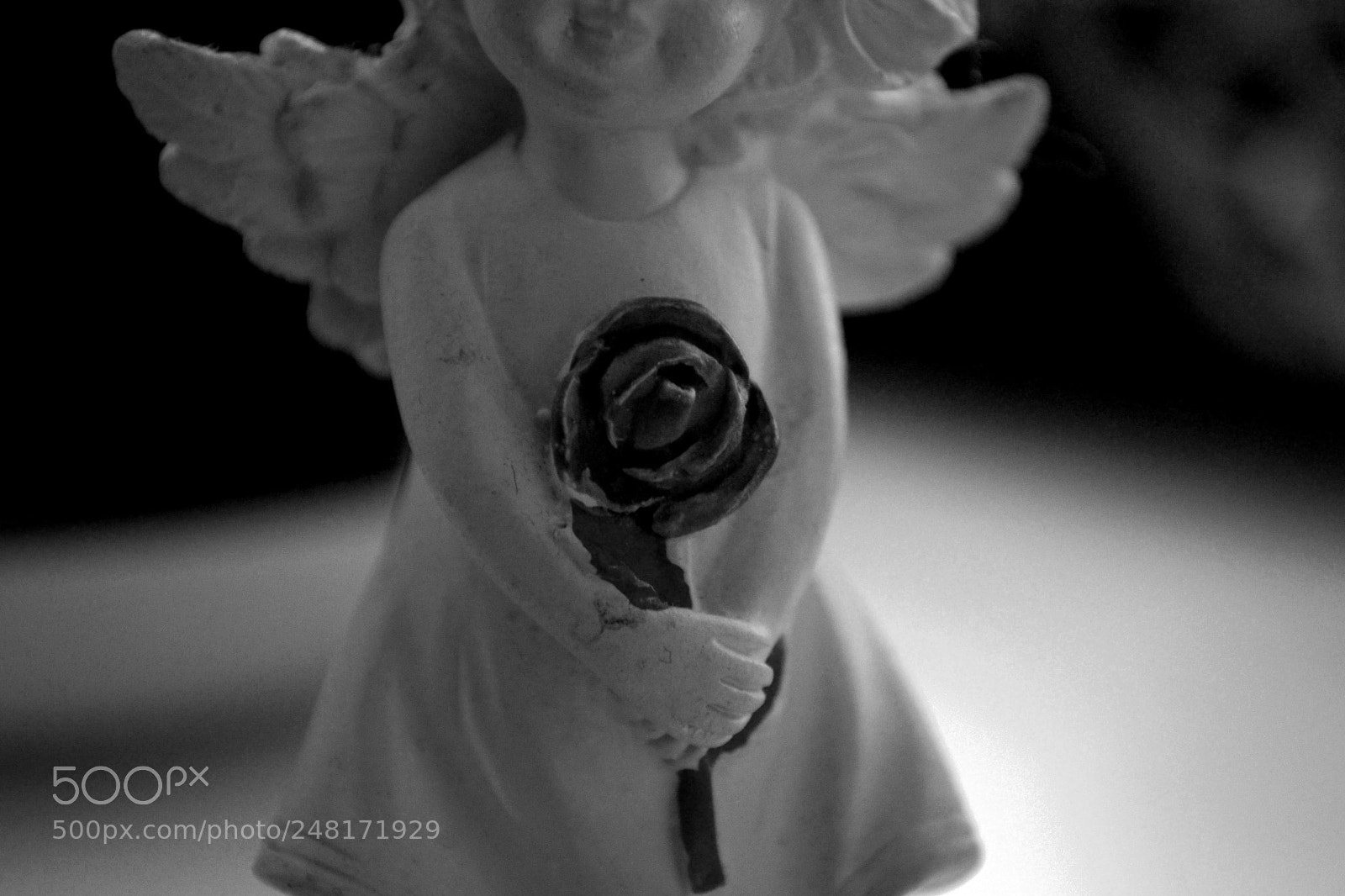 Nikon D3100 sample photo. Angel photography