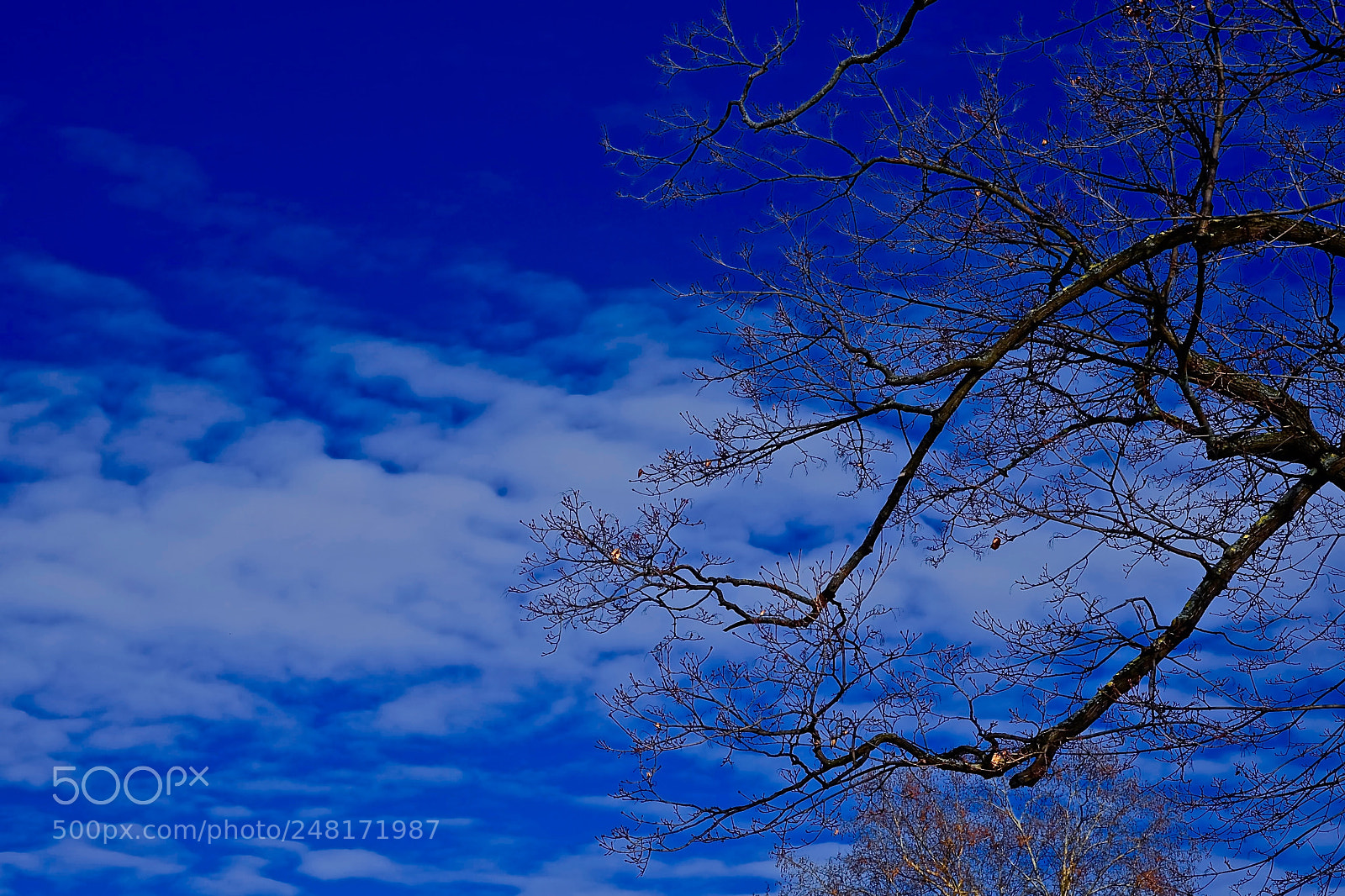 Fujifilm X-T1 sample photo. Fullsizeoutput photography