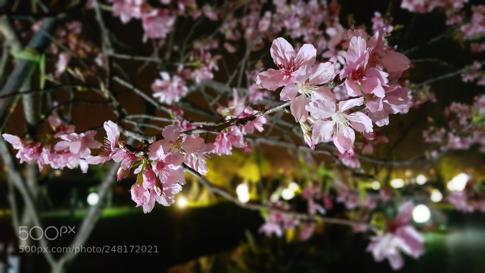 Samsung Galaxy Note4 sample photo. Night photography