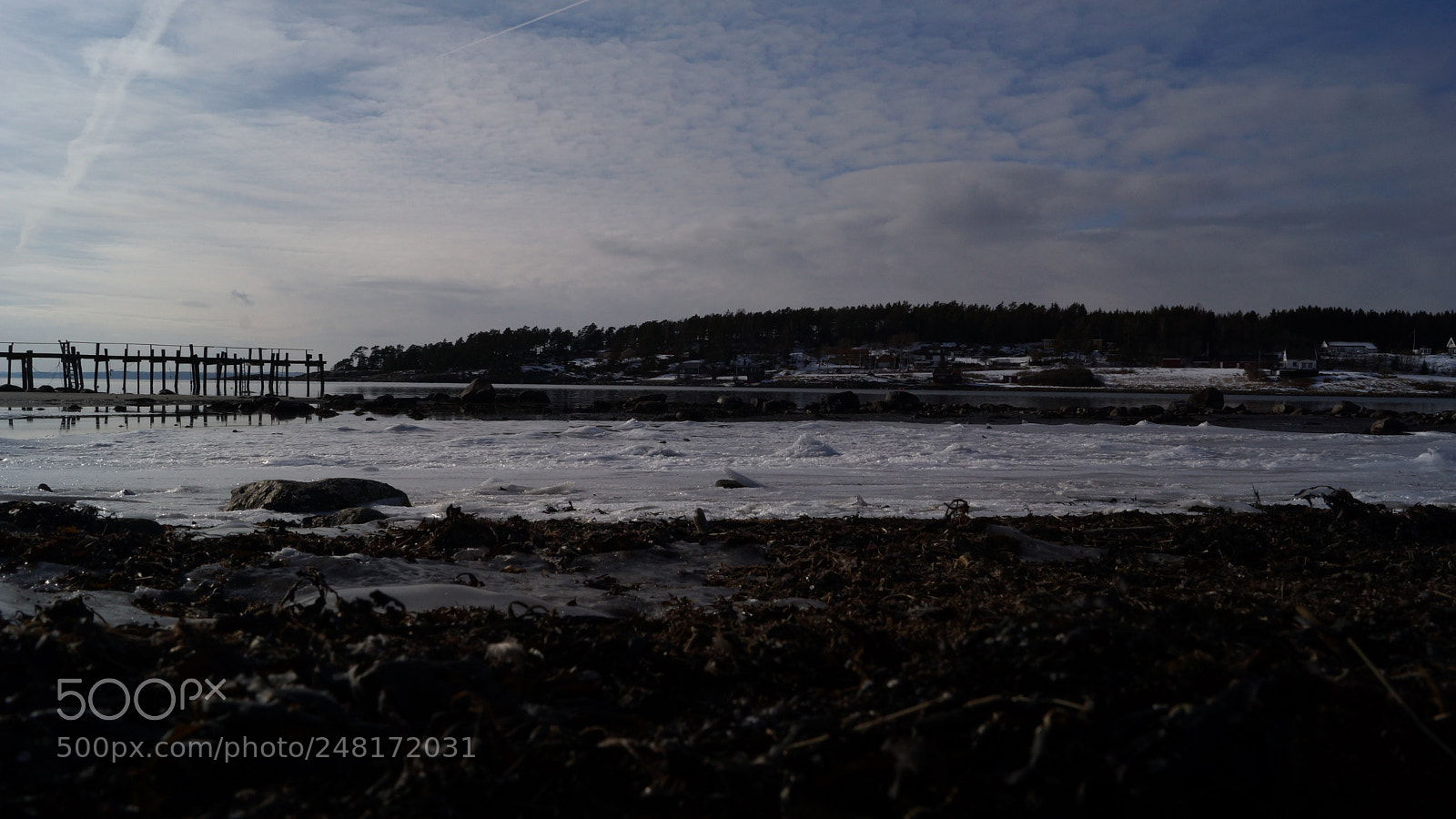 Sony SLT-A65 (SLT-A65V) sample photo. Cold day at the photography