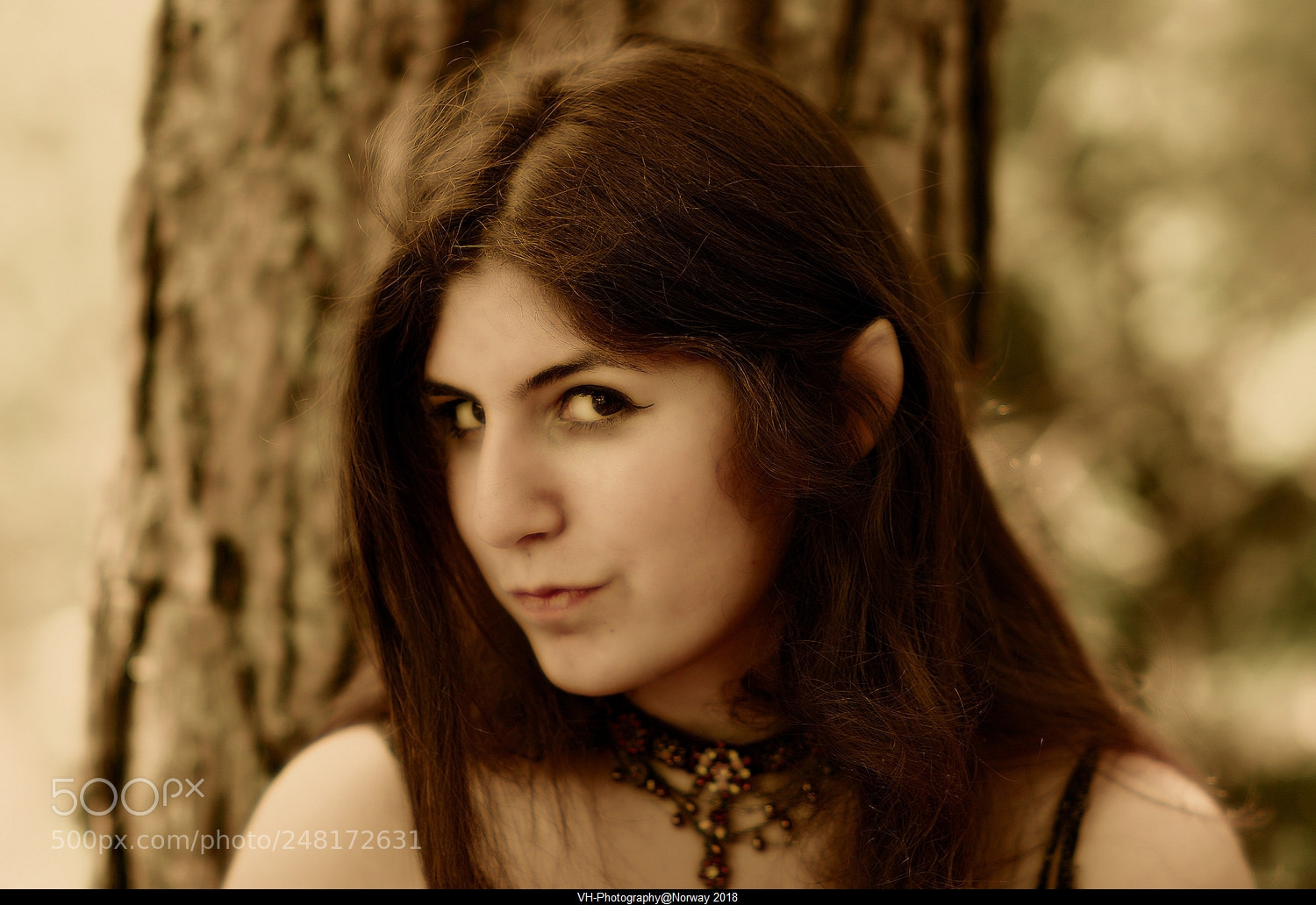 Canon EOS 20D sample photo. Elf. 2 photography