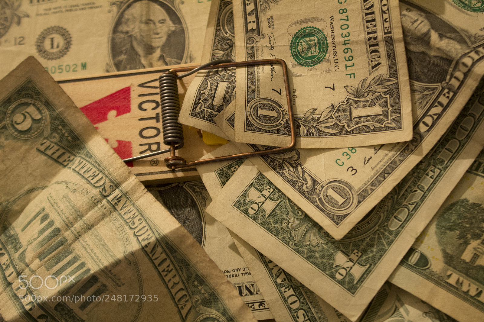 Canon EOS 1200D (EOS Rebel T5 / EOS Kiss X70 / EOS Hi) sample photo. Victor of money, back photography
