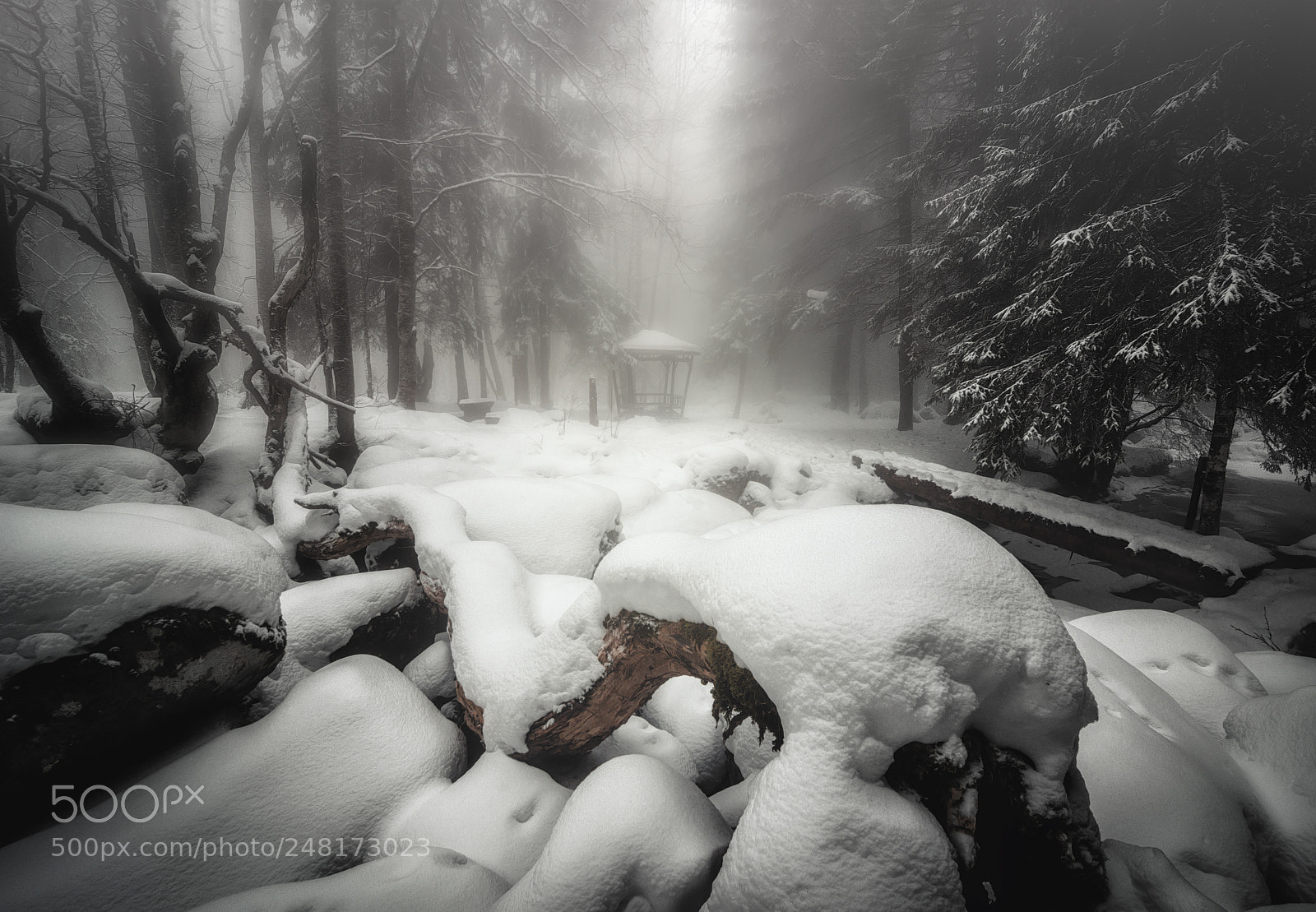 Nikon D3200 sample photo. Snowy fairytale photography
