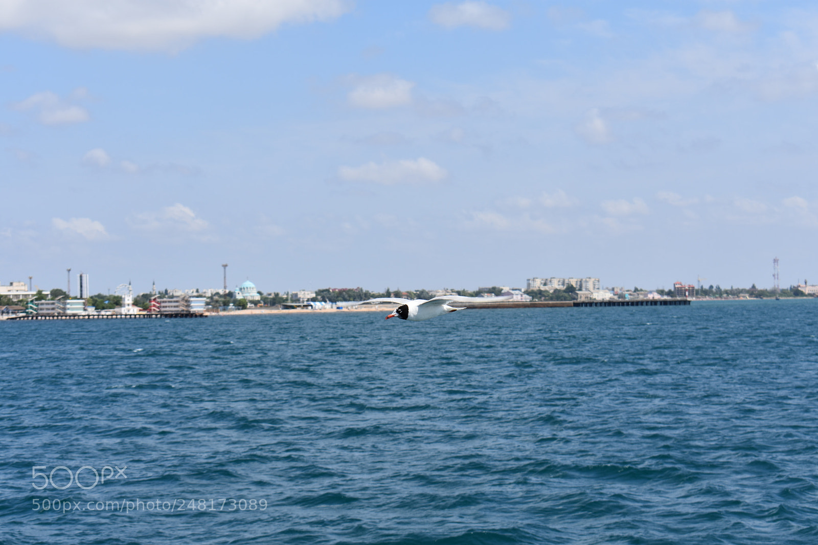 Nikon D3400 sample photo. Untitled photography