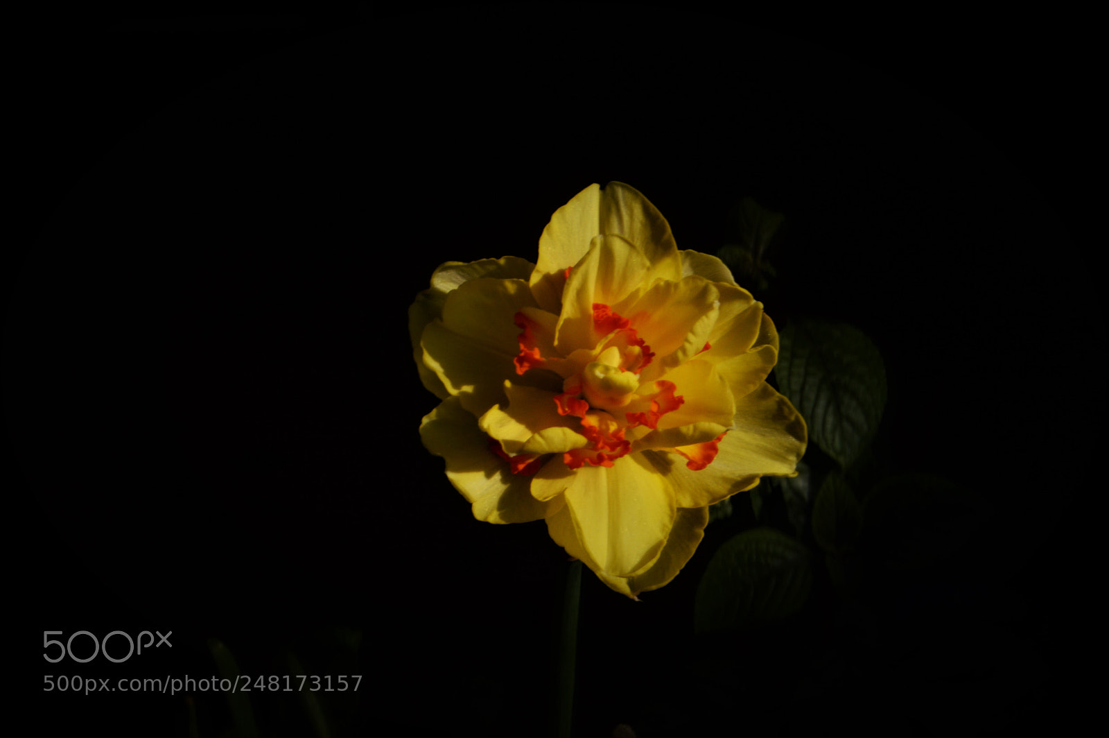Nikon D3200 sample photo. Psychoanalytic theory photography
