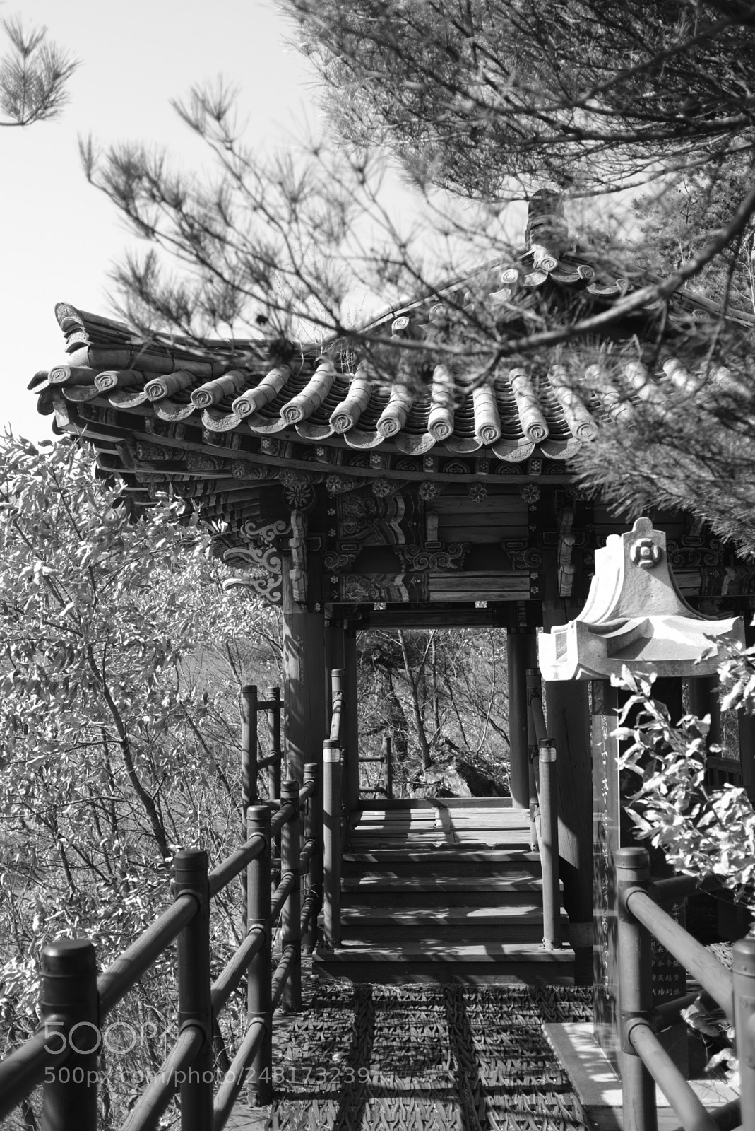Fujifilm X100F sample photo. Untitled photography