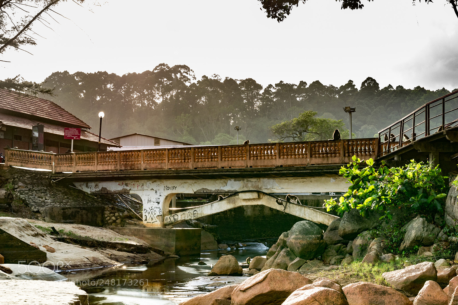 Nikon D5500 sample photo. A bridge on a photography