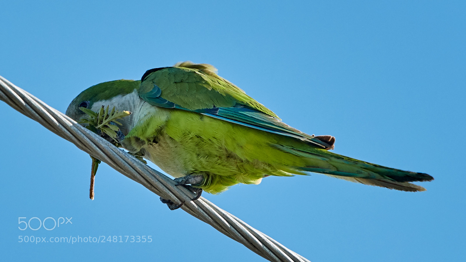 Canon EOS-1D X Mark II sample photo. 03-04-18-0006059.jpg photography