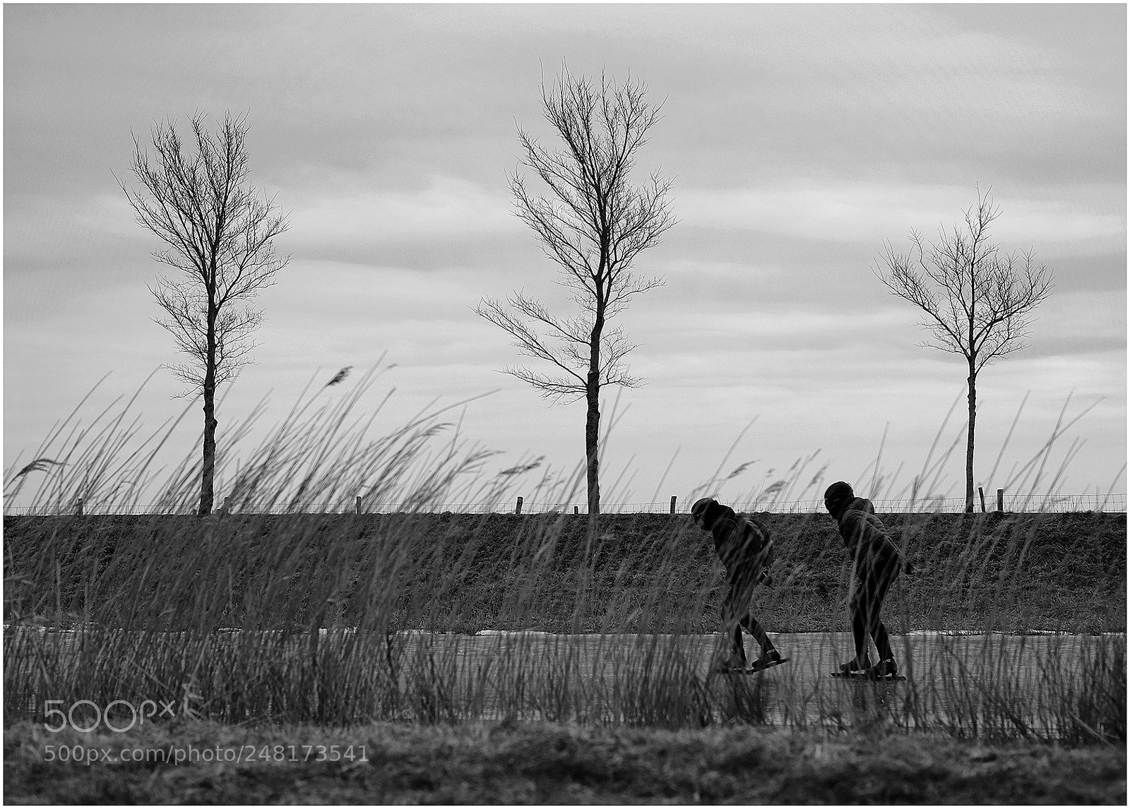 Fujifilm X-T2 sample photo. Winter in holland photography