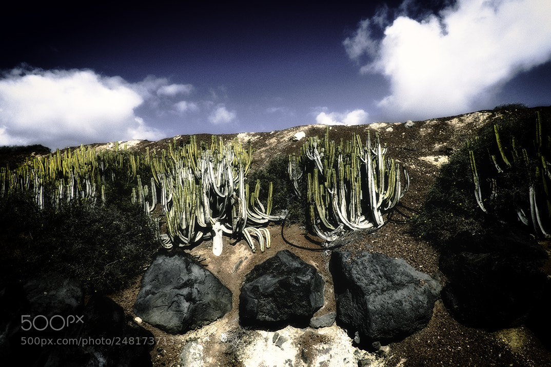 Fujifilm X-E2 sample photo. Lanzarote photography