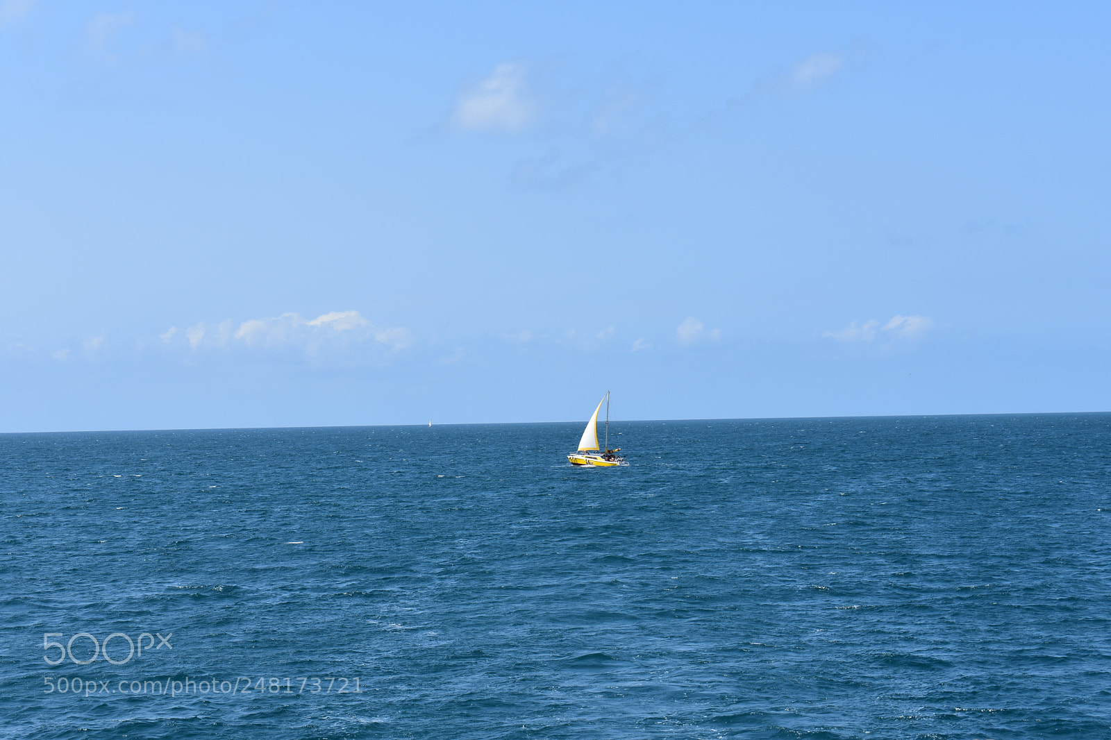 Nikon D3400 sample photo. Untitled photography