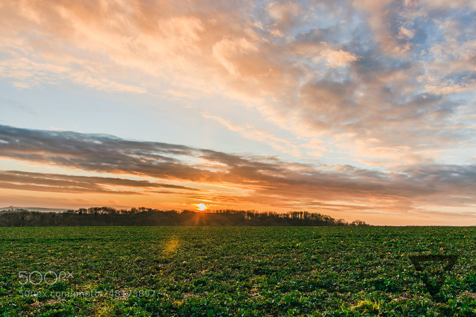 Canon EOS 77D (EOS 9000D / EOS 770D) sample photo. Wroughton photography