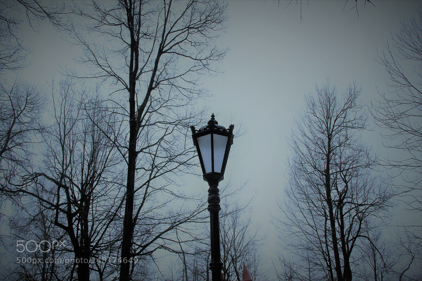 Canon EOS 550D (EOS Rebel T2i / EOS Kiss X4) sample photo. Cумрак photography