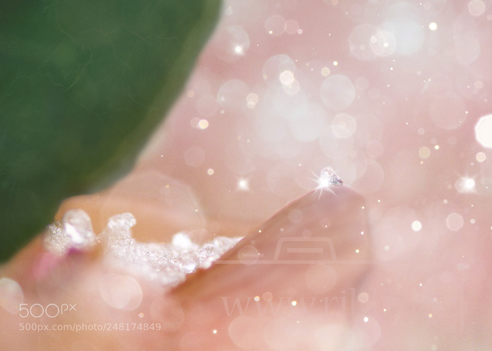 Nikon D7100 sample photo. Pink ice photography