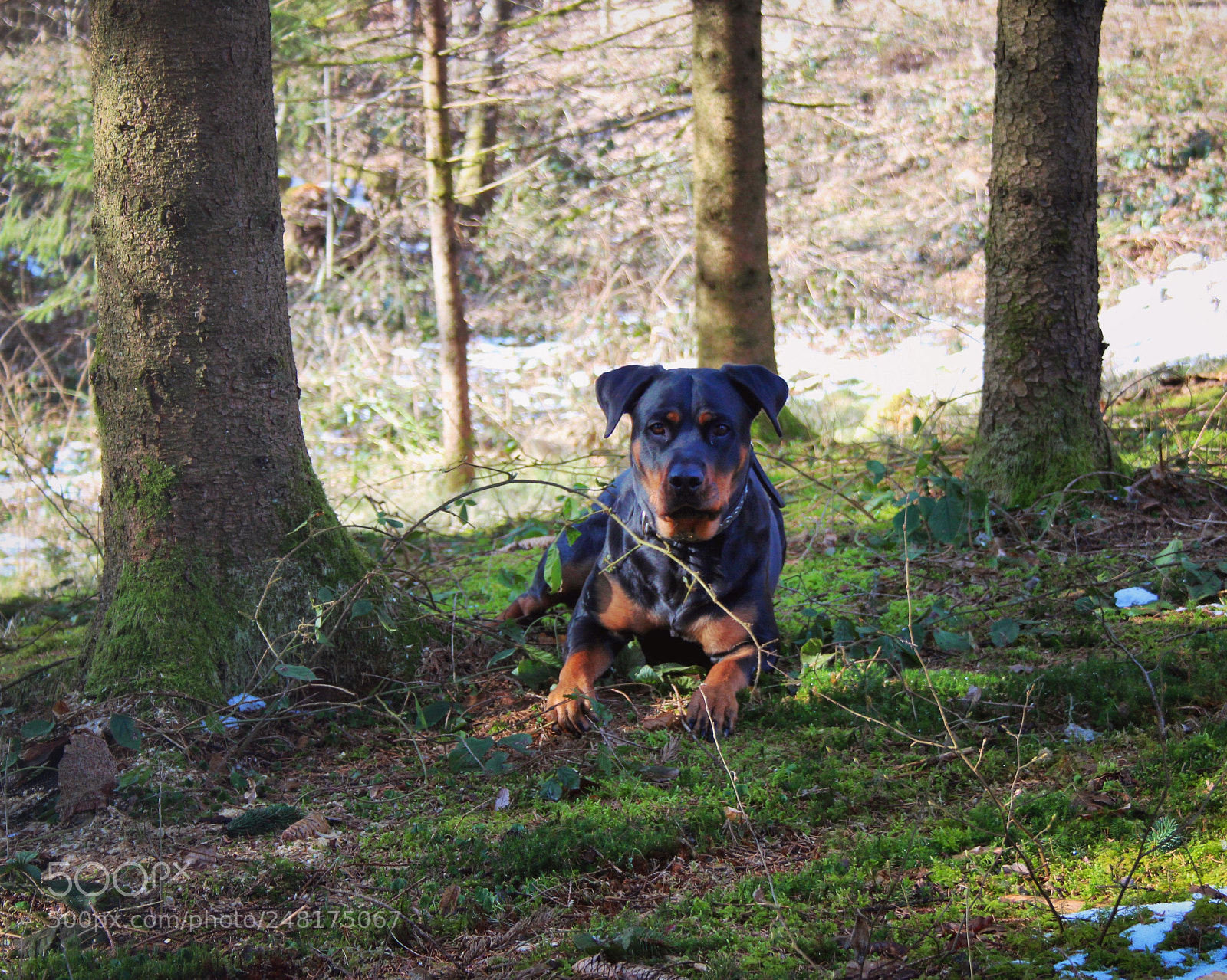 Canon EOS 650D (EOS Rebel T4i / EOS Kiss X6i) sample photo. Bin anf nger. heute photography